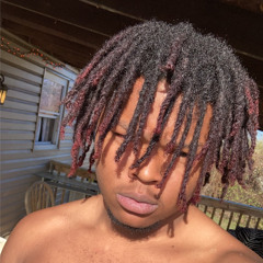 Young Mare “Carti”