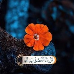 Om Walid