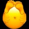 RAYQUAN H
