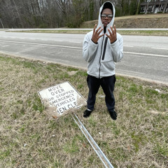 bta_perqq