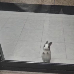 らる