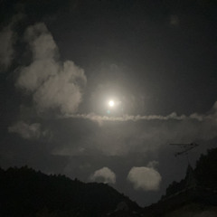 nobuko k.