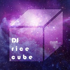 DJ Rice Cube