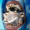 BluffiGold