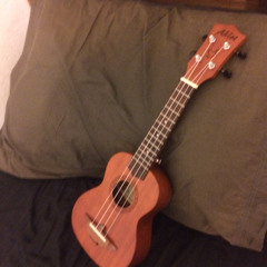 ukulele chicken