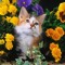 #KITTENS/CUTE