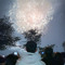 Trung