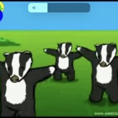 tedewood