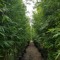 19junglestreet