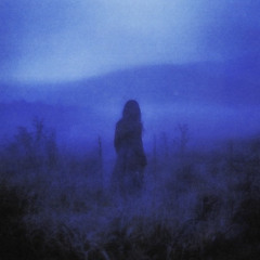 эхо пустоты