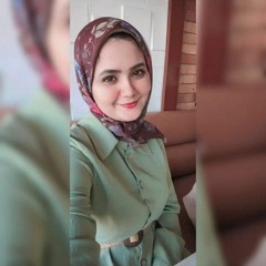Mariem elromihy