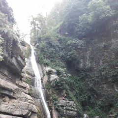 Vahid