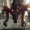 Micronus Prime