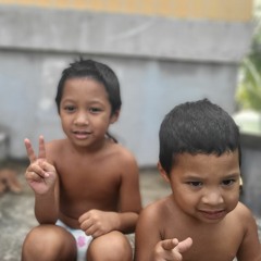 Bungarar
