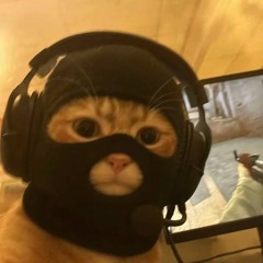 :|