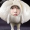 싸쿠싸쿠판다