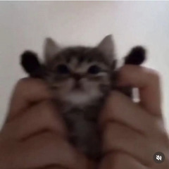 青春