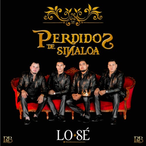 Perdidos De Sinaloa’s avatar