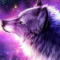 Wolf cub