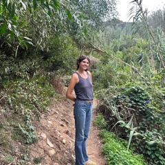 Paraasol