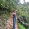 Paraasol