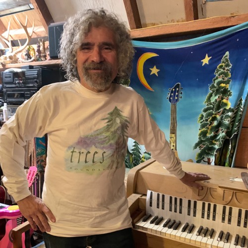 You Can't Clearcut Your Way To Heaven