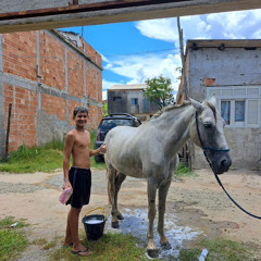 Paulo Cesar