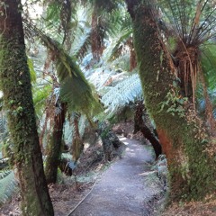 some stuff, and stuff