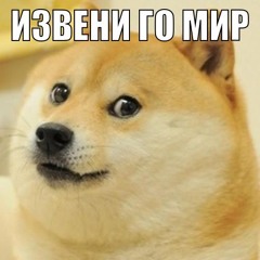 диджей ярик