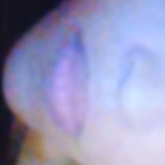 Poundkake's likes and grabz