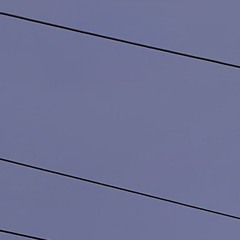 C‐