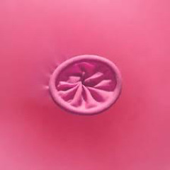 DjBalloonKnot