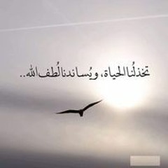 Shimaa Sakr