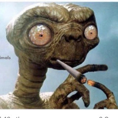 Lilbear420