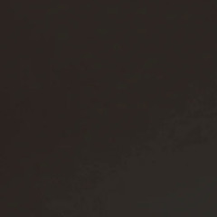 Rejx222