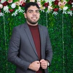 محمد الغمري