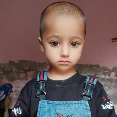 shahid ramzan