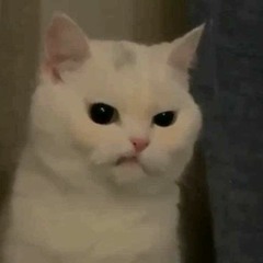 연리