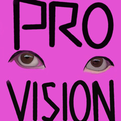 pro vision