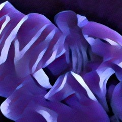 zephyrsplean