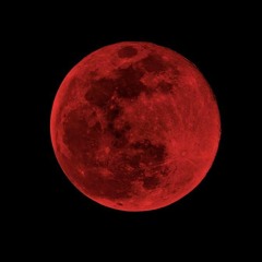 reddmoon800