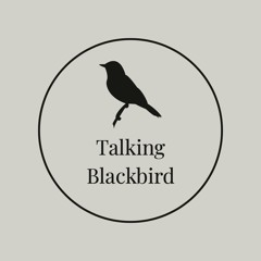 Talking Blackbird