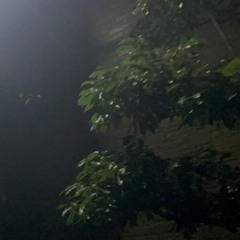TREE_木