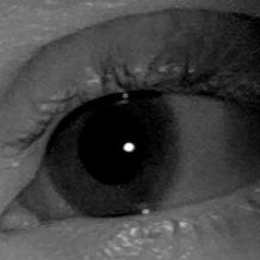 Серёжа Ворубок