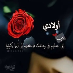 Eng. Amany Abu-Zeid