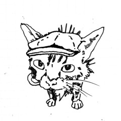 Pai Frequency 28/11/25