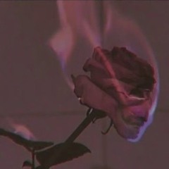 🌸🩷°Cinna°🩷🌸