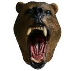 Master Bear