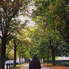 Fardeenah Seeraullee