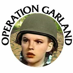 Operation Garland